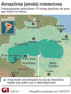 Mapa Aves da Amazônia (Foto:  )