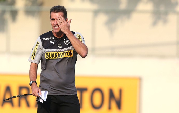 Vagner Mancini, treino Botafogo (Foto: Satiro Sodré / SSPress)