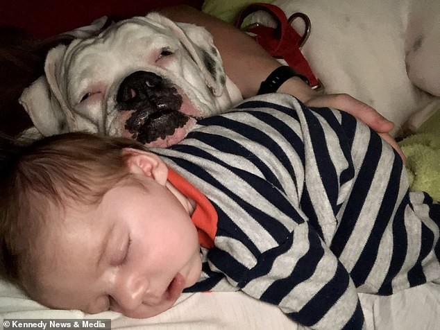 Bebê e cachorro se tornaram amigos inseparáveis  (Foto: Kennedy News and Media)