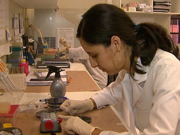 Pesquisadores da USP analisam comportamento de células do sistema imunológico no combate à leishmaniose. (Foto: Carlos Trinca/ EPTV)