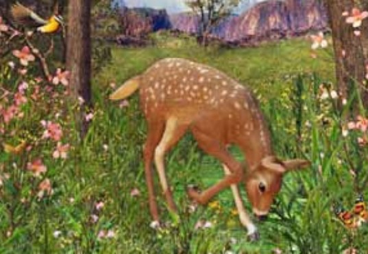 screenshot de Proteção de Tela: Animais em 3D
