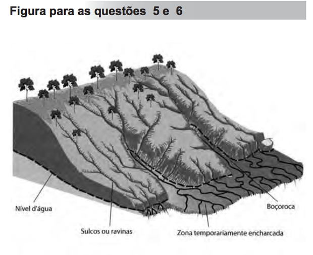 TEIXEIRA, W. et al. (Orgs). Decifrando a Terra. São Paulo: Companhia Editora Nacional, 2009. (Foto: Reprodução/Enem)