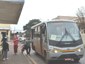 Segundo a Prefeitura, aproximadamente cinco mil pessoas utilizam o ônibus diariamente em Arapongas. (Foto: Divulgação/Prefeitura de Arapongas)