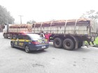 PRF apreende carregamento ilegal de madeira na BR-040, em Petrópolis, RJ