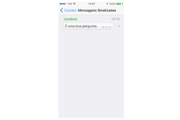 Encontrando mensagens sinalizadas de um contato no WhatsApp para iPhone (Foto: Reprodução/Marvin Costa)