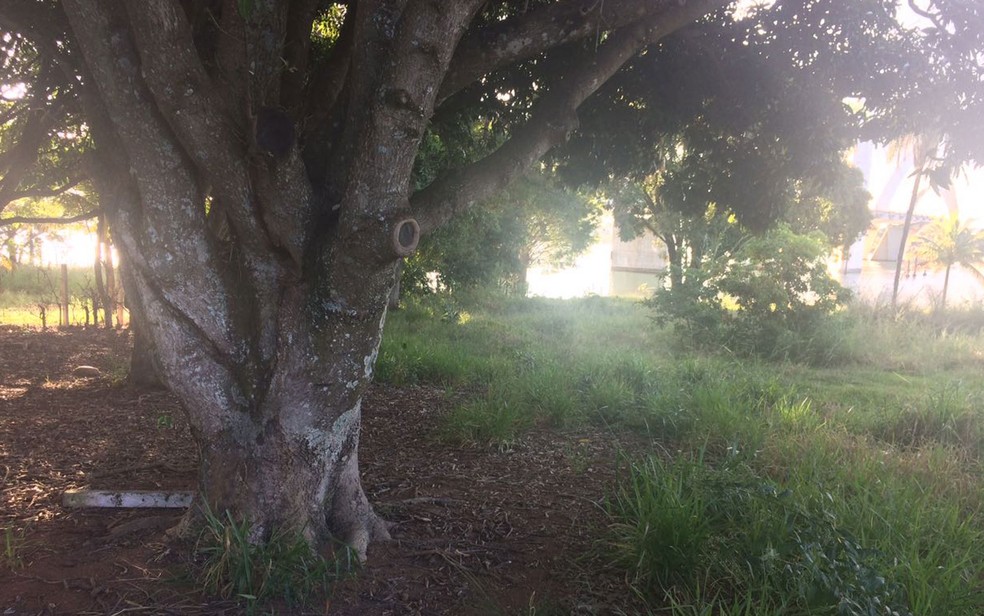 Terreno onde foi encontrada mãe do bebê afogado no Lago Paranoá (Foto: Letícia Carvalho/G1)