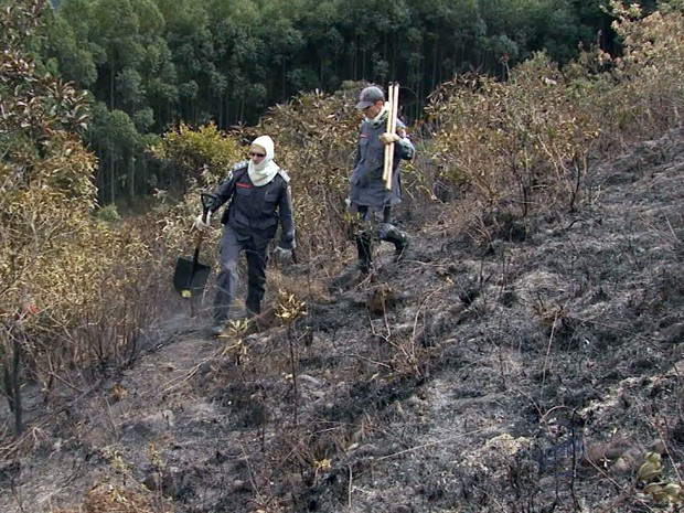 Fogo atingiu cerca de 200 mil m² da Mata do Cristo, em Poços de Caldas (Foto: Reprodução EPTV / Marcelo Rodrigues)