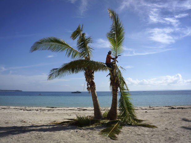 Homem poda coqueiro danificado pelo tufão na ilha de Bantayan, nas Filipinas (Foto: Aubrey Belford/Reuters)