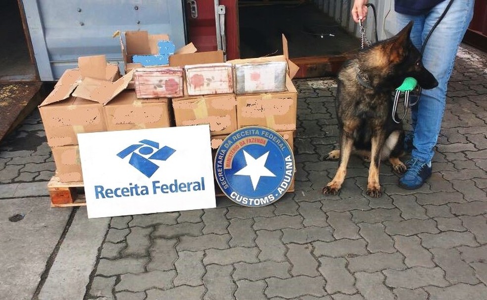 Receita apreendeu mais de 200 kg de cocaína no Porto de Santos (Foto: Divulgação/Receita Federal)