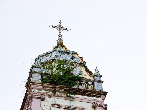 Vegetação coloca em risco estrutura da Torre da Igreja do Livramento (Foto: Jonathan Lins/G1)