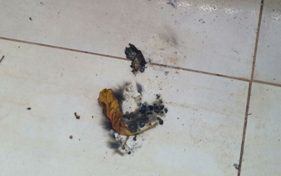 Bombas caseiras que atingiram casa em Samambaia, no DF, continham pólvora e casolina, segundo Polícia Militar  (Foto:  Polícia Militar/Divulgação)