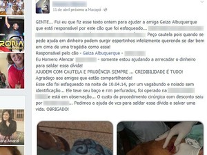 Mobilização pelo Facebook arrecadou doações para tratamento do cão Dudu (Foto: Reprodução/Facebook)