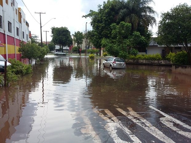 G1 Chuva e vento forte derrubam árvores e alagam ruas em bairros de