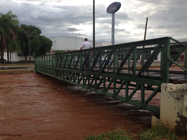 Rio Bauru transbordou em diversos pontos da avenida (Foto: Ana Carolina Levorato/G1)