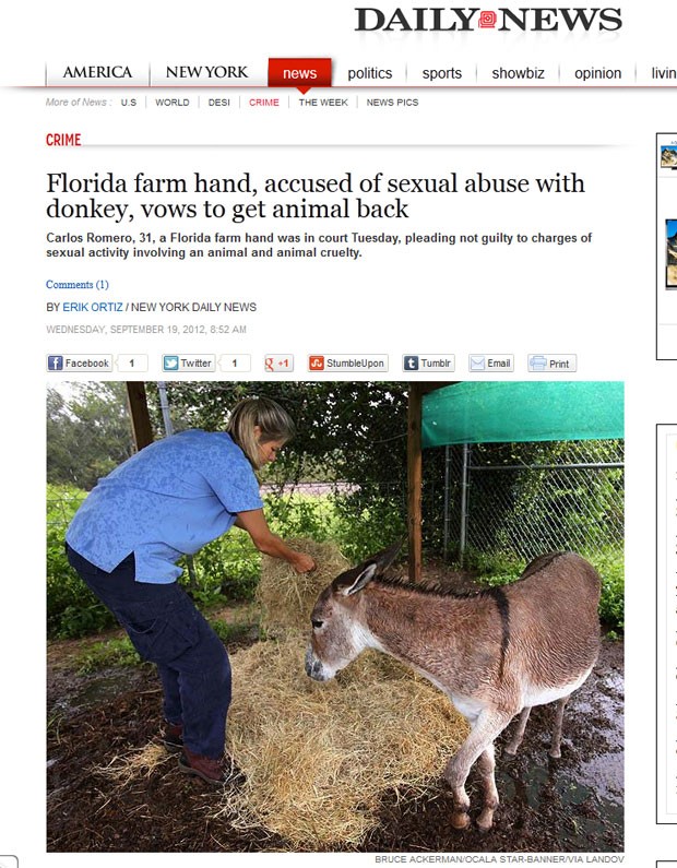 Jumenta chamada 'Doodle' foi levada para um centro de animais de Ocala (Foto: Reprodução/NY Daily News)