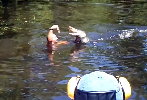 Guia turístico foi filmado alimentando aligátores dentro da água (Foto: Stacy Hicks/AP)