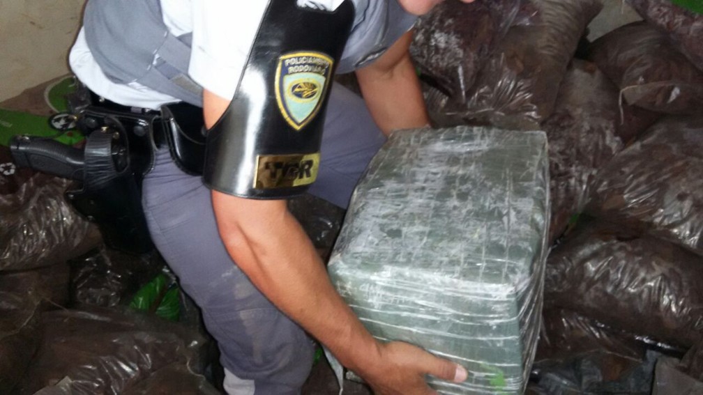 Droga estava entre carga de pinus e pedras para jardim, diz polícia (Foto: Divulgação/Polícia Militar Rodoviária)