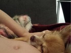 Cadelinha de Ana Hickmann tira soneca em sua barriga de grávida