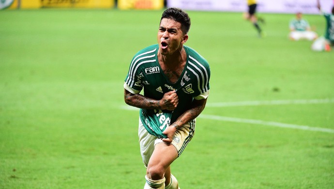 Palmeiras x Santos Dudu (Foto: Marcos Ribolli)