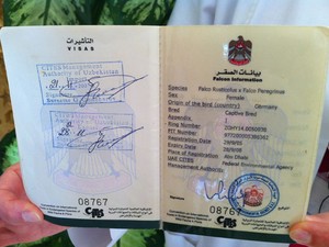 Passaporte de falcão; aves têm que ter o documento para viajar com seus donos (Foto: Flávia Mantovani/G1)