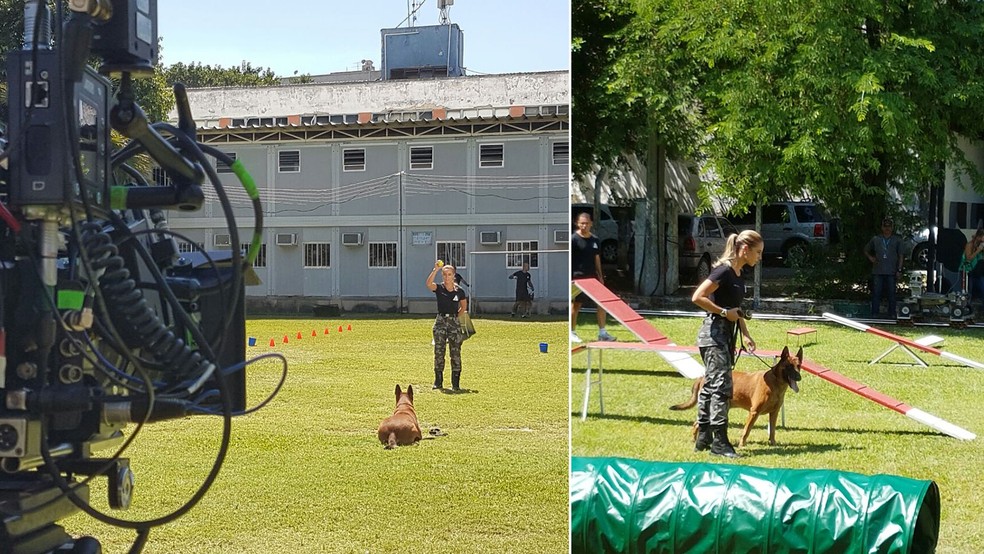 Concentradíssima, Paolla Oliveira treina com o cão policial (Foto: Thiago Lepritie / TV Globo)