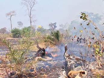 Fogo no Pantanal em MT (Foto: Reprodução/TVCA)