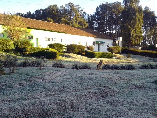 Segundo Inmet, Maria da Fé registrou 1,5°C nesta sexta-feira, 8 de julho; no campo experimental da Epamig, termômetros marcaram -2,5°C (Foto: Pedro Moura/Epamig)