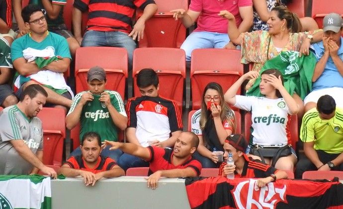 Torcida Gás de Pimenta Flamengo x Palmeiras (Foto: Fred Gomes)