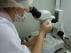 TJ da Paraíba diz que plano de saúde não deve custear fecundação in vitro