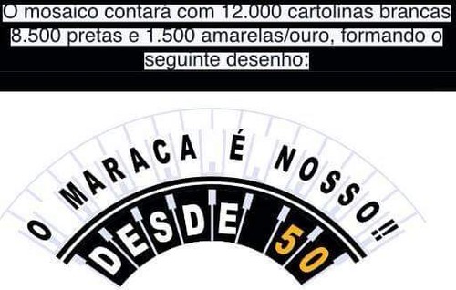 Imagem do mosaico que a torcida do Vasco planeja para a decisão de domingo (Foto: Reprodução Twitter)