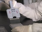 Cientistas em SP estudam zika vírus 