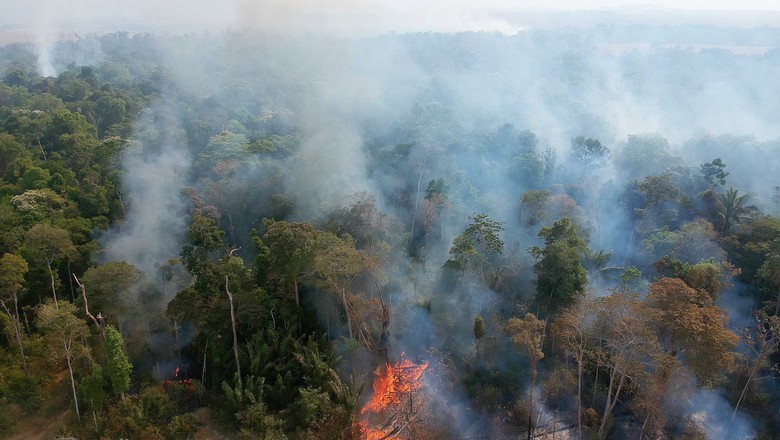 queimadas-amazonia-floresta-incendios-fogo (Foto: Emiliano Capozoli/Ed.Globo)