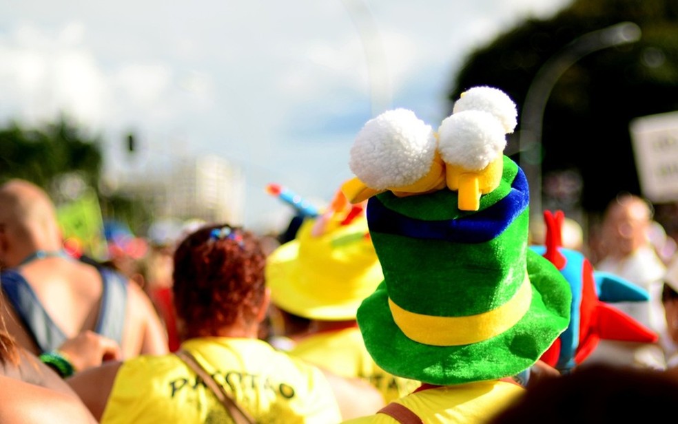 Foliões no bloco do Pacotão (Foto: Dimas/Agência Brasília)