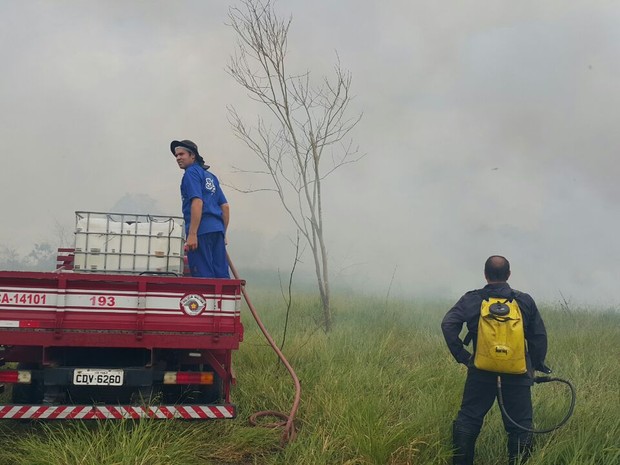 Bombeiros levaram cerca de seis horas para controlar o incêndio (Foto: Cedida/Corpo de Bombeiros)