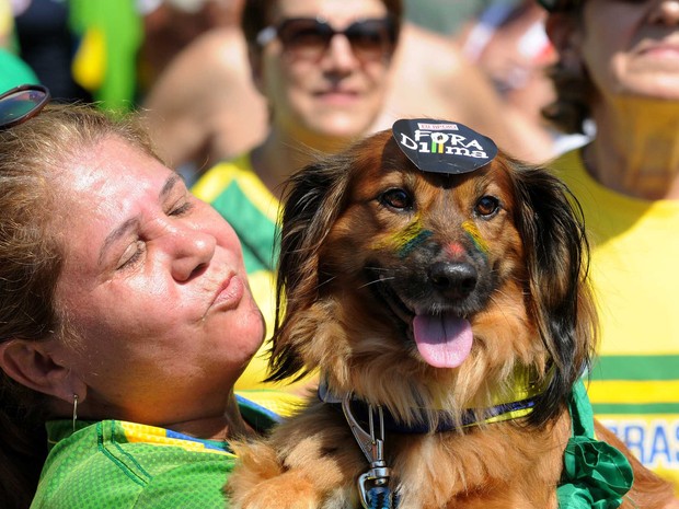 Dona pintou cachorro de verde e amarelo no Rio (Foto: Alexandre Durão / G1)