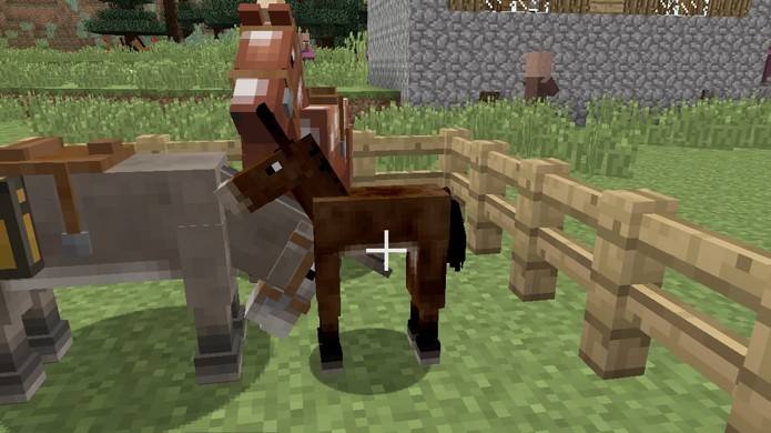Pronto! Agora você tem sua primeira mula em Minecraft com características de ambos os pais (Foto: Reprodução/Rafael Monteiro)