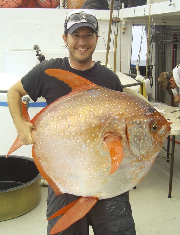 Peixe opah (Foto: REUTERS/NOAA Fisheries/Southwest Fisheries Science Center)