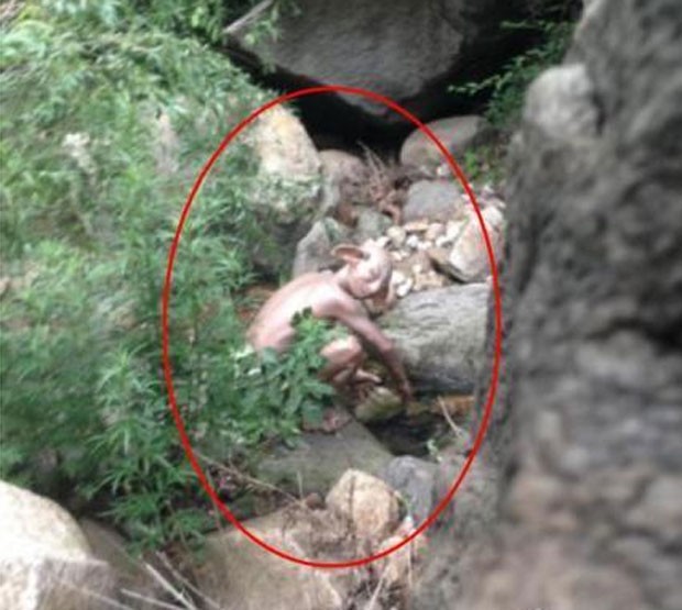 Turista afirma ter flagrado Gollum ao sair para urinar durante camping na China (Foto: Reprodução/Weibo/Sinahkn)