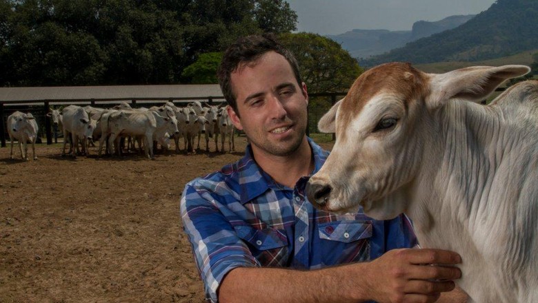 Globo Rural de outubro destaca a revolução da inseminação artificial em  tempo fixo - Revista Globo Rural