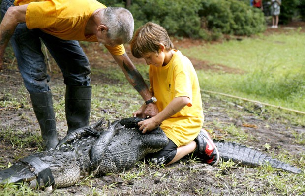 Joey Maffo, de 12 anos, ajudou seu avô a capturar um aligátor de 2,5 metros (Foto: Drew Martin/The Island Packet/AP)