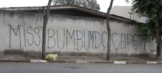 Muro da casa de Andressa Urach (Foto: Thiago Duran / AgNews)