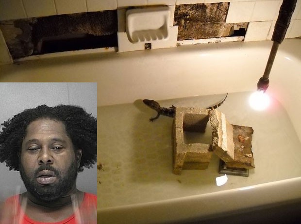 Sean Lewis mantinha um filhote de aligátor (jacaré americano) na banheira de sua casa (Foto: Volusia County Sheriff’s Office/Divulgação) Sean Lewis mantinha um filhote de aligátor (jacaré americano) na banheira de sua casa (Foto: Volusia County Sheriff’s Office/Divulgação)