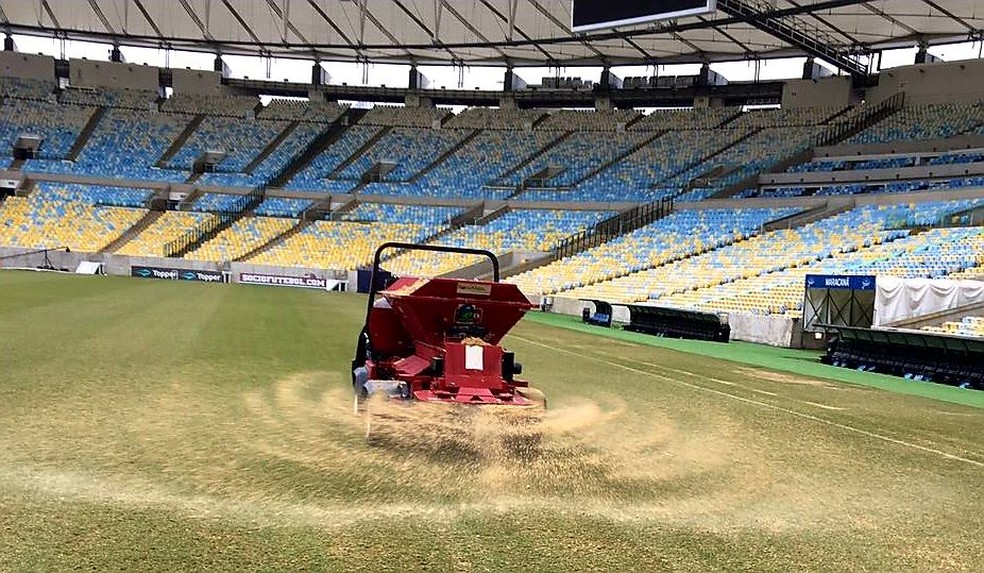 Sementes de inverno e areia foram aplicadas no gramado (Foto: Divulgação)