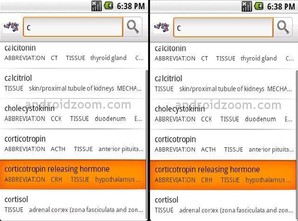 Human Hormones