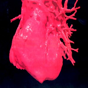 A visualização de um coração humano em 3D (Foto: Nasa/Getty Images)