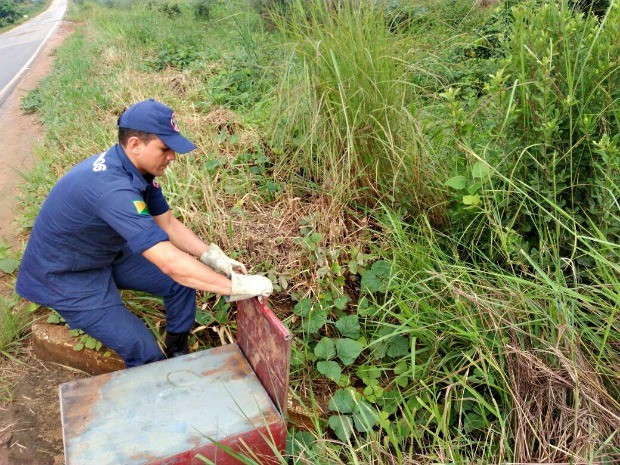 Bombeiros soltaram animal em área de mata (Foto: Divulgação/Corpo de Bombeiros de Sena Madureira)