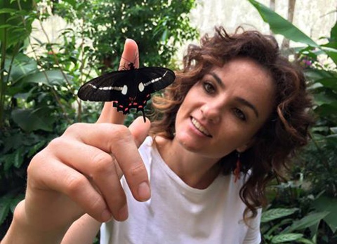 Conheça um borboletário incrível em Quatro Barras  (Foto: Reprodução/ Plug)