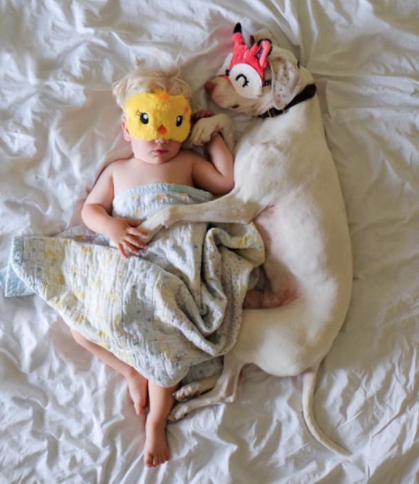 Cachorra Nora escolheu Archie como melhor amigo (Foto: Instagram/Reprodução)