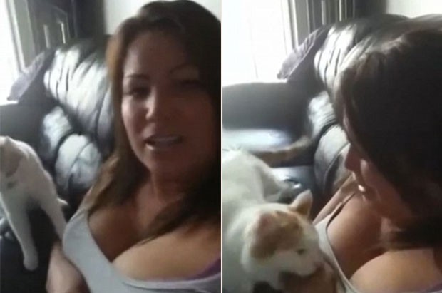 Mulher é atacada por gato ao dizer em vídeo que venderia 'felino adorável' (Foto: Reprodução/YouTube/Hour Now)