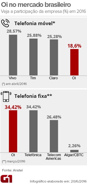 Veja a participao da Oi no mercado brasileiro (Foto: G1)